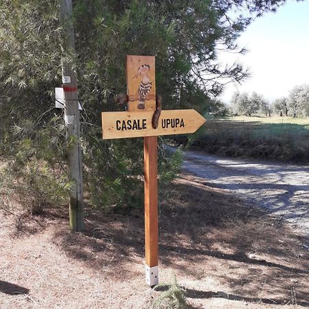 Casale L'Upupa Villa Orvieto Eksteriør bilde