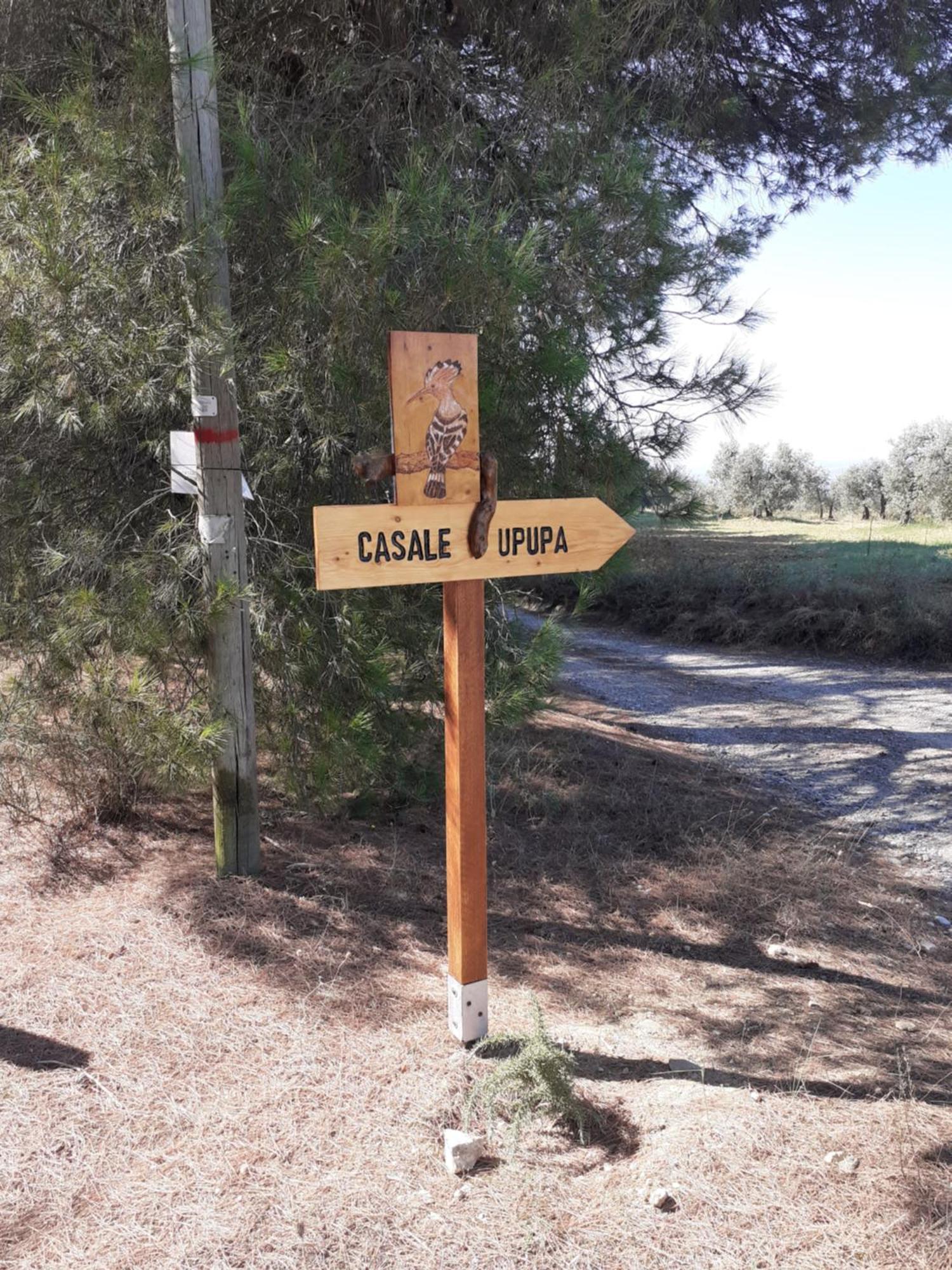 Casale L'Upupa Villa Orvieto Eksteriør bilde